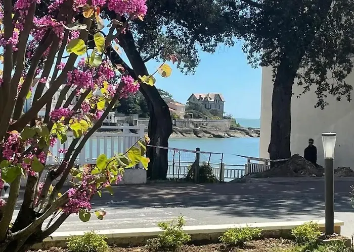 Apartamento La Plagiste Saint-Palais-sur-Mer